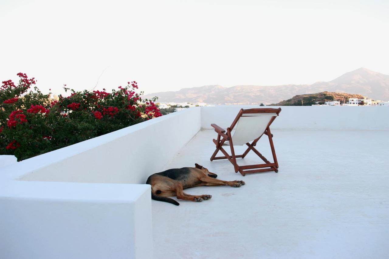 Prickly Pear House Hotel Plaka  Exterior photo